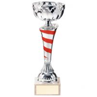 Eternity Presentation Cup Silver and Red 240mm : New 2020