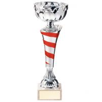 Eternity Presentation Cup Silver and Red 270mm : New 2020