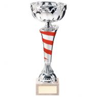 Eternity Cup Silver and Red 300mm - TR20311F