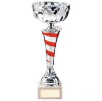 Eternity Presentation Cup Silver and Red 300mm : New 2020