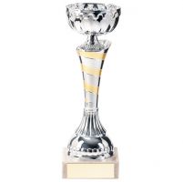 Eternity Presentation Cup Silver and Gold 190mm : New 2020