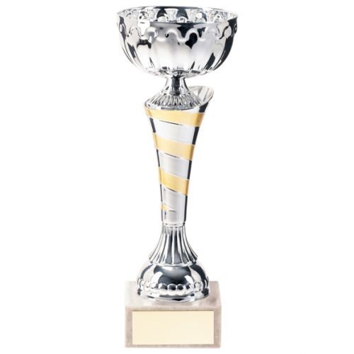 Eternity Presentation Cup Silver and Gold 240mm : New 2020