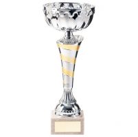 Eternity Presentation Cup Silver and Gold 300mm : New 2020