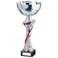 Dominion Presentation Cup Silver and Red 310mm : New 2020