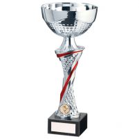 Dominion Presentation Cup Silver and Red 320mm : New 2020