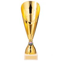 Rising Stars Deluxe Plastic Lazer Presentation Cup Gold 325mm : New 2020