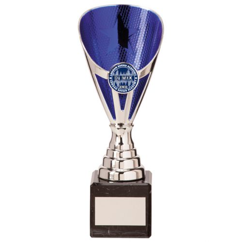 Rising Stars Premium Plastic Trophy Award Silver and Blue 200mm : New 2020