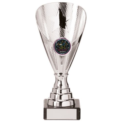 Rising Stars Premium Plastic Trophy Award Silver 170mm : New 2020