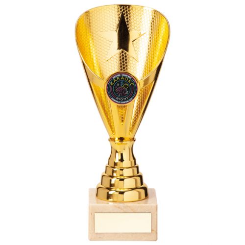 Rising Stars Premium Plastic Trophy Award Gold 185mm : New 2020