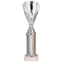 Rising Stars Plastic Trophy Silver 280mm : New 2023