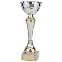 Albany Silver and Gold Presentation Cup 190mm