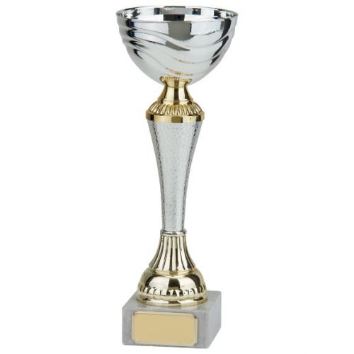 Albany Silver and Gold Presentation Cup 250mm